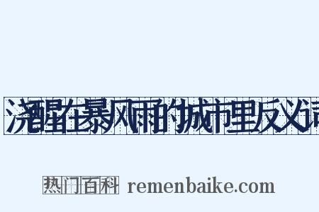 浇醒在暴风雨的城市里反义词是什么意思的图片